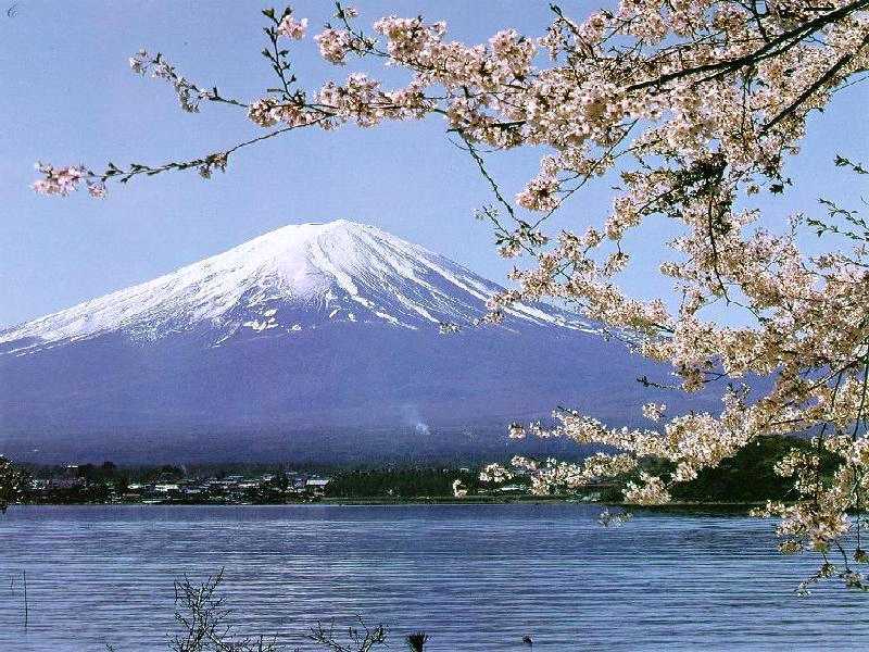 Tour Nhật Bản - Công Ty Cổ Phần Du Lịch Thương Mại Quốc Tế Năm Châu